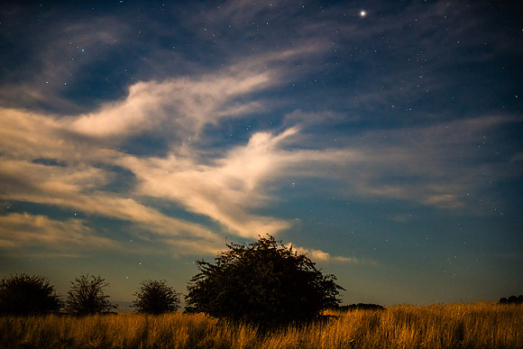 Stargazing at the night sky in the country