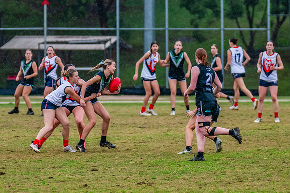 Rd 6 WPD - UTS v Pennant Hills - 11 May 2024