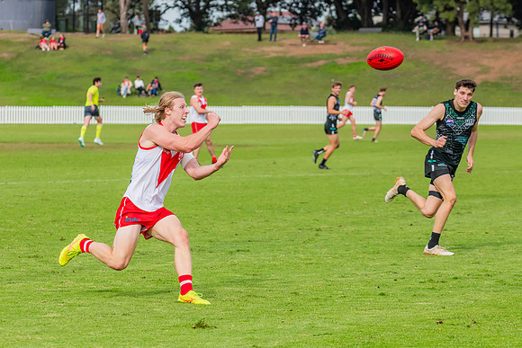 Rd 7 MPD - St George v UTS - 25 May 2024