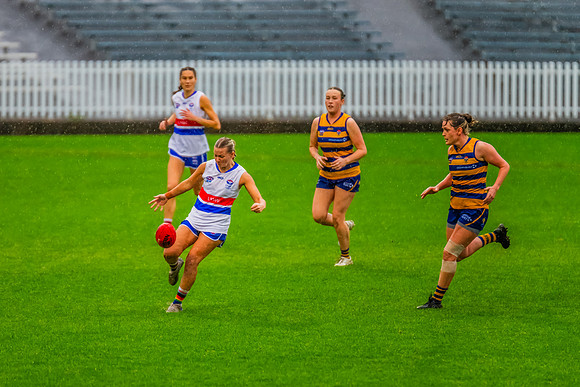 Rd 8 WPD - UNSW-ES v Sydney Uni - 1 June 2024