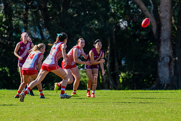 Rd 6 WPD - St George v Manly Warringah - 17 May 2025