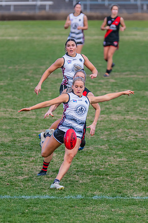 WPD Elimination Final - North Shore v Inner West - 7 August 2022