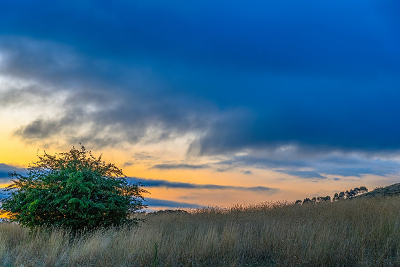 Sunset views over rural farmland with clouds