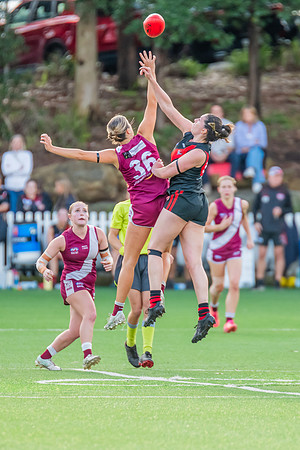 Rd 1 WPD - North Shore v Manly Warringah - 8 June 2024