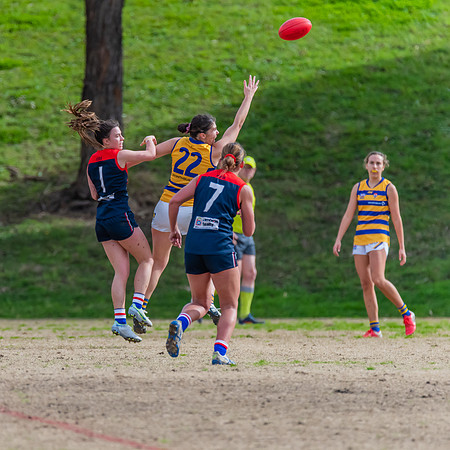 Rd 14 WPD - Pennant Hills v Sydney Uni - 16 July 2022