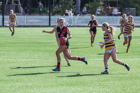 Rd 3 WPD - North Shore v Sydney Uni - 23 April 2022