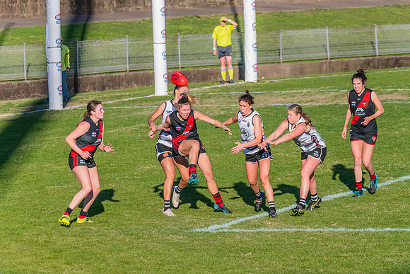 WPD Elimination Final - North Shore v Inner West - 7 August 2022