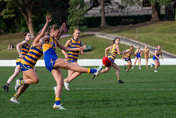 Rd 12 WPD - Sydney Uni v East Coast - 5 July 2025