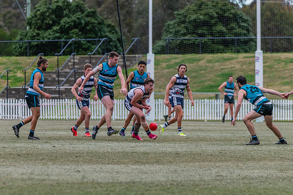 Platinum Div Preliminary Final - Southern Power v Camden Cats -