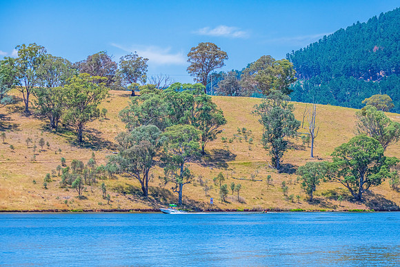 A Summer's day at Carcoar Dam