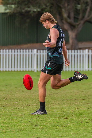 Rd 7 MPD - St George v UTS - 25 May 2024