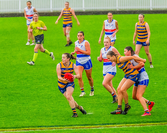Rd 8 WPD - UNSW-ES v Sydney Uni - 1 June 2024