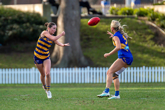 Rd 12 WPD - Sydney Uni v East Coast - 5 July 2025