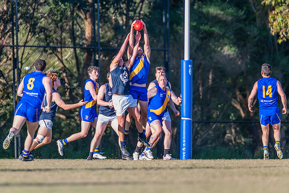 Black Diamond Plate Men's Nelson Bay v Newcastle City - 17 Septe