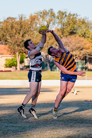 Rd 10 MD1 - Camden v Sydney Uni - 21 June 2025