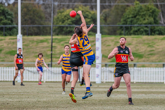 Men's Div 1 Preliminary Final - Sydney University v Western Magi