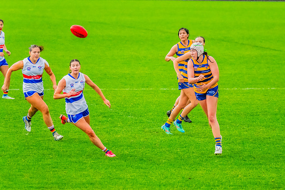 Rd 8 WPD - UNSW-ES v Sydney Uni - 1 June 2024