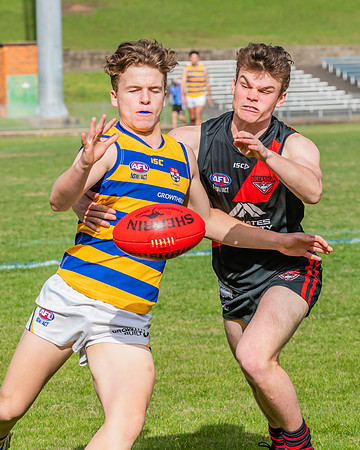 MPD Qualifying Final - North Shore v Sydney University - 20 Augu