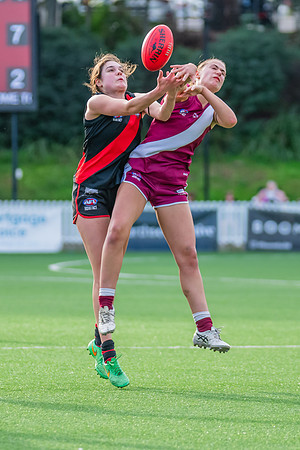 Rd 1 WPD - North Shore v Manly Warringah - 8 June 2024