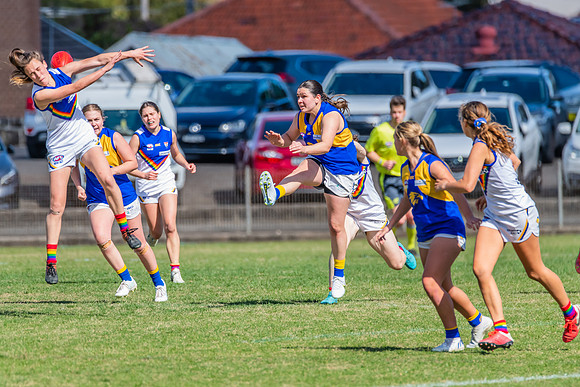 WPD Preliminary Final - East Coast v Sydney University - 21 Augu