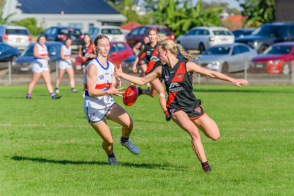 Rd 6 WPD - UNSW ES v North Shore - 14 May 2022