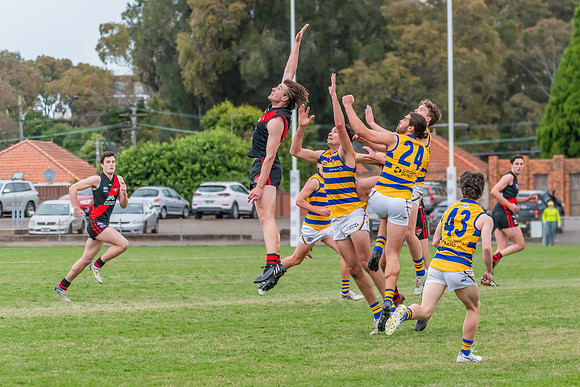 MPD Qualifying Final - North Shore v Sydney University - 20 Augu