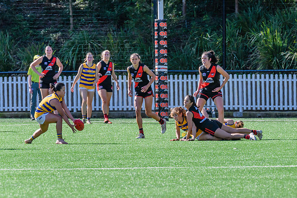 Rd 3 WPD - North Shore v Sydney Uni - 23 April 2022