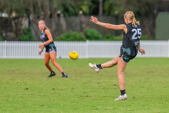Rd 7 WPD - St George v UTS - 25 May 2024