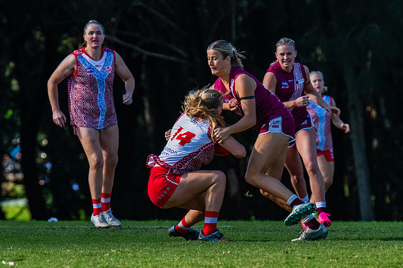 Rd 6 WPD - St George v Manly Warringah - 17 May 2025