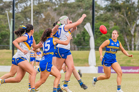 WPD Semi Final - Parramatta v Sydney Uni - 8 September 2024