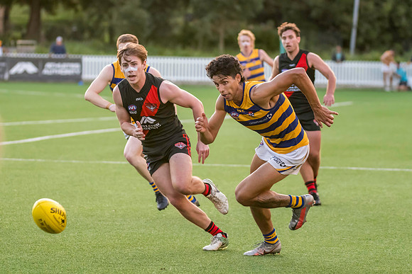 Rd 3 MPD - North Shore v Sydney Uni - 23 April 2022