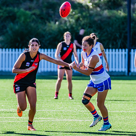 Rd 4 WPD - North Shore v UNSW-ES - 27 April 2024