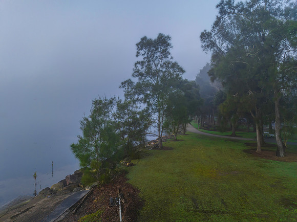 Foggy morning at the waters edge