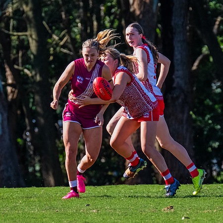 Rd 6 WPD - St George v Manly Warringah - 17 May 2025