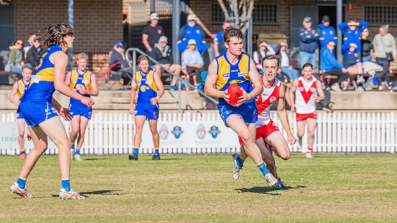 Rd 17 MPD - East Coast v St George - 17 August 2024