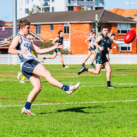 Rd 8 MPD - UTS v SWS - 31 May 2025