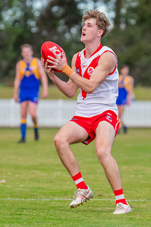 Rd 17 MPD - East Coast v St George - 17 August 2024