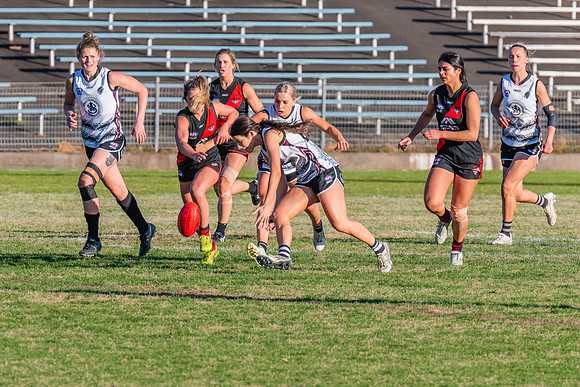 WPD Elimination Final - North Shore v Inner West - 7 August 2022