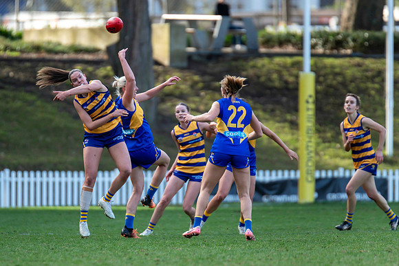 Rd 12 WPD - Sydney Uni v East Coast - 5 July 2025