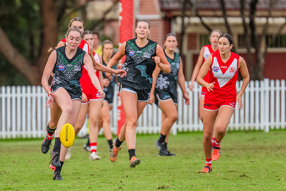 Rd 7 WPD - St George v UTS - 25 May 2024