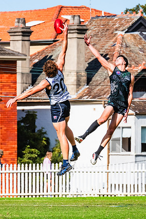 Rd 8 MPD - UTS v SWS - 31 May 2025