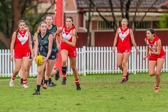 Rd 7 WPD - St George v UTS - 25 May 2024