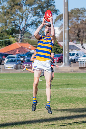 Men's Div 1 - Qualifying Final - North Shore v Sydney University