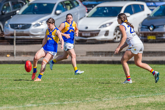 WPD Preliminary Final - East Coast v Sydney University - 21 Augu