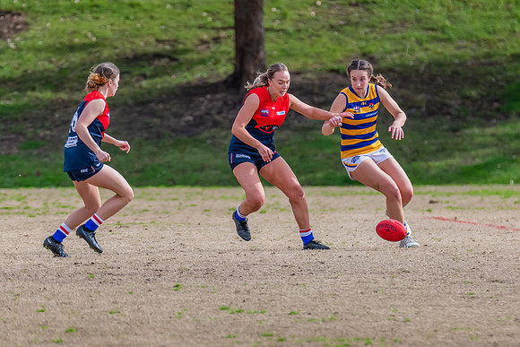 Rd 14 WPD - Pennant Hills v Sydney Uni - 16 July 2022