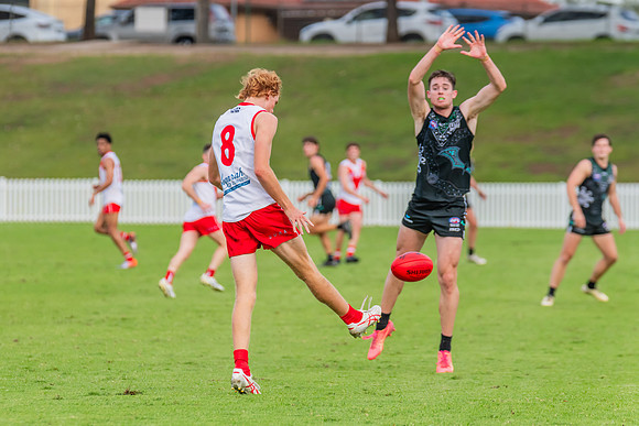 Rd 7 MPD - St George v UTS - 25 May 2024