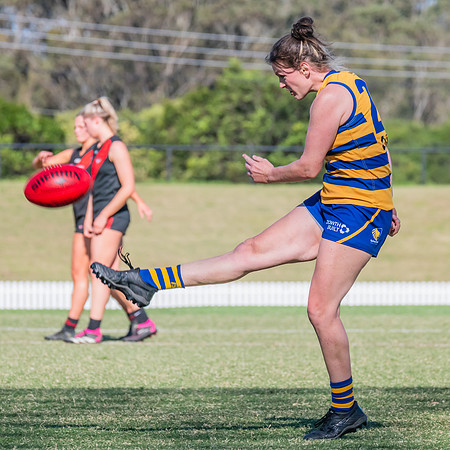 WPD Elimination Final - North Shore v Sydney Uni - 1 September 2