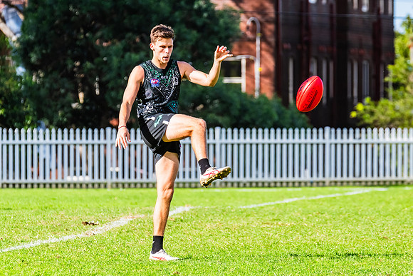Rd 8 MPD - UTS v SWS - 31 May 2025