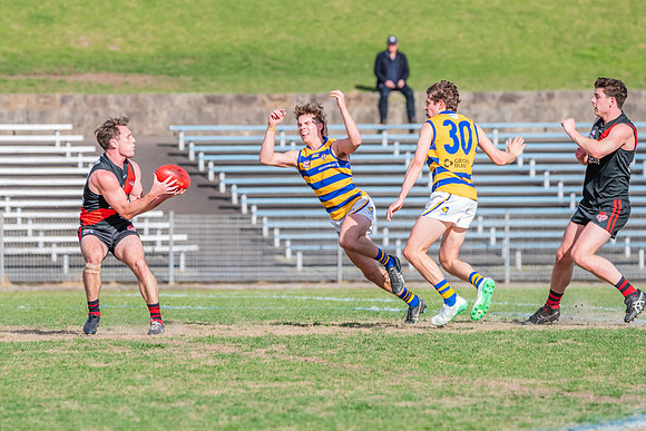 MPD Qualifying Final - North Shore v Sydney University - 20 Augu