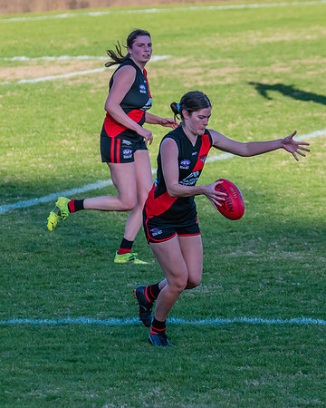 WPD Elimination Final - North Shore v Inner West - 7 August 2022